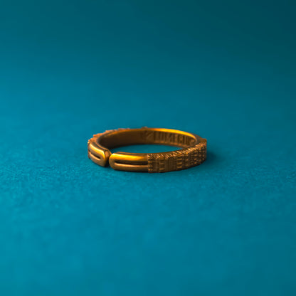 Lifelong Learner Book Ring